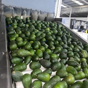 Servicio de Calibración
