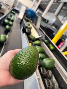 Servicio de Calibración