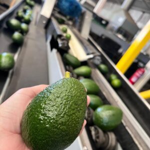 Servicio de Calibración