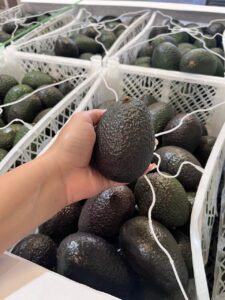 PALTA HASS PERUANA PREMADURA