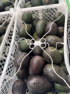 PALTA HASS PERUANA PREMADURA