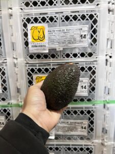 PALTA HASS PERUANA PRE-MADURA